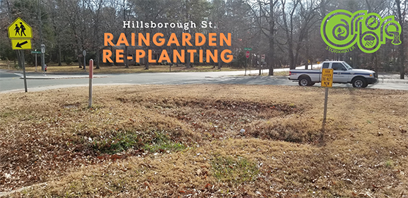 Hillsborough St Rain Garden Title