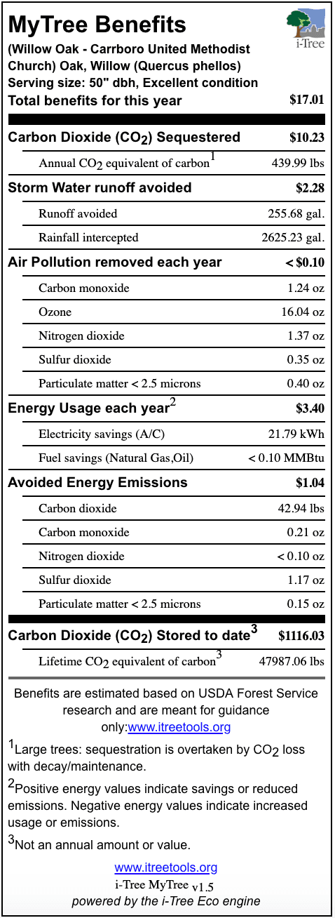 Willow Oak Carrboro United Methodist Church