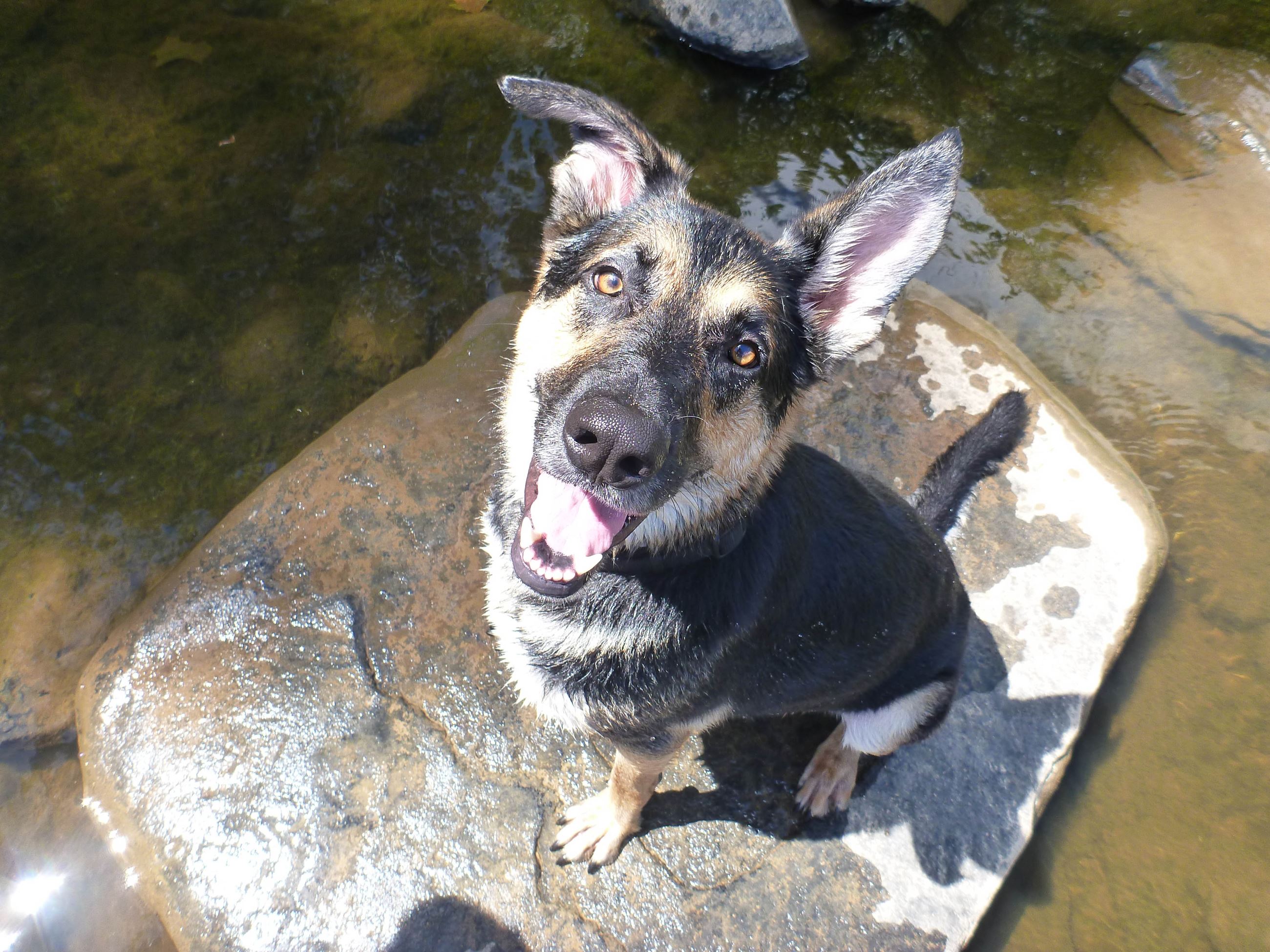 Oli on the Haw (1 of 1)